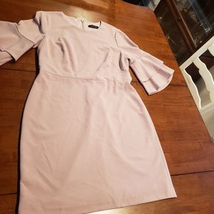 Sz 12 Light Pink Ruffle Sleeve Dress